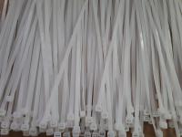 BĂNG KEO MÚT VÀNG